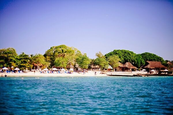 Isla del encanto - Image 3