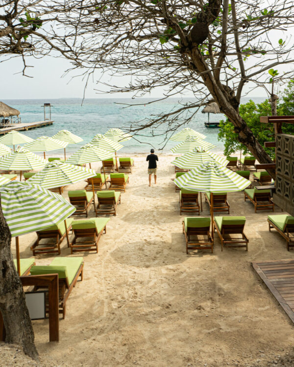Mantas Beach Club - Image 5