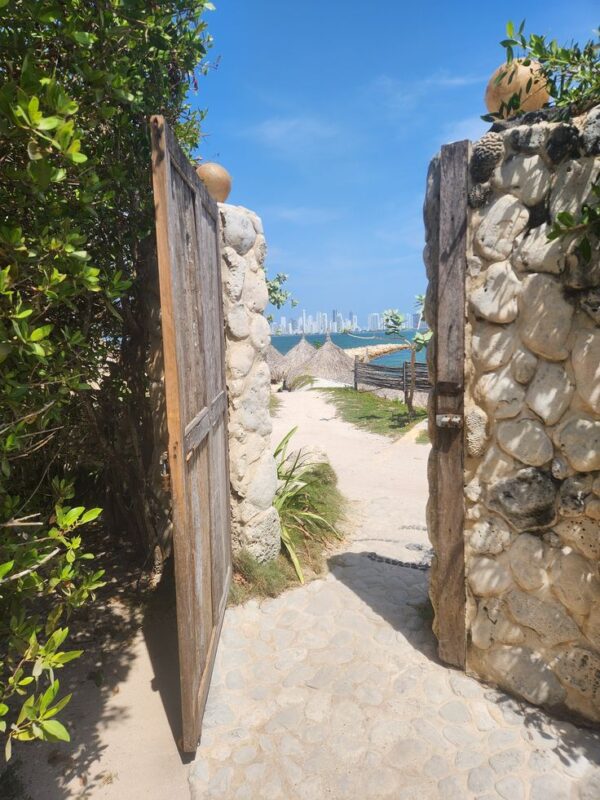 Palmarito - Image 4