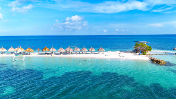 ISLA PALMA - Image 10