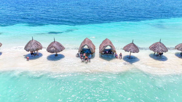ISLA PALMA - Image 4