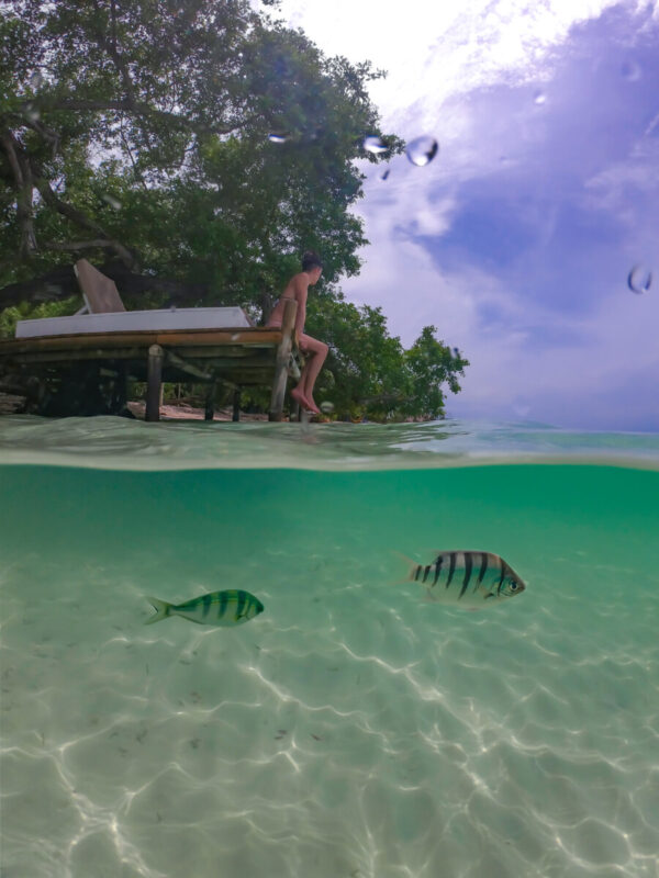 ISLA PALMA - Image 8