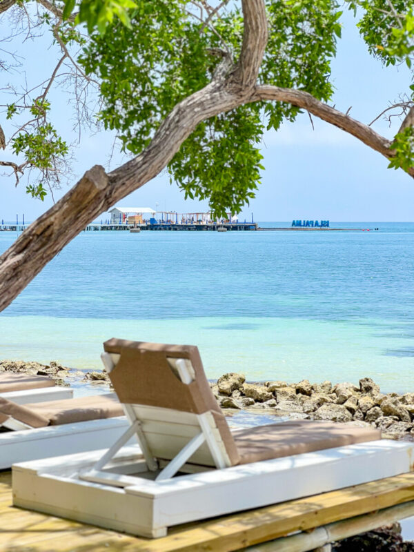 ISLA PALMA - Image 6